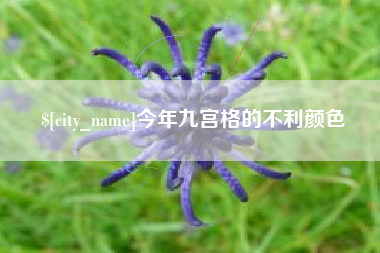 贺州今年九宫格的不利颜色