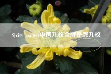 贺州中国九枚金牌是哪九枚