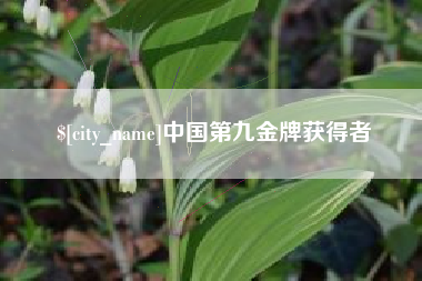 贺州中国第九金牌获得者