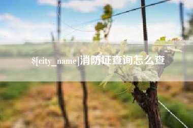 贺州消防证查询怎么查