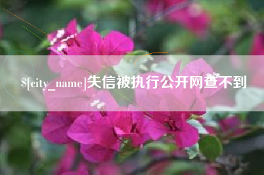 贺州失信被执行公开网查不到