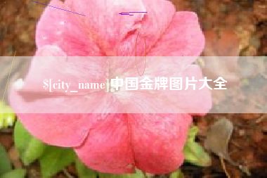 贺州中国金牌图片大全