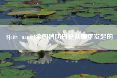 贺州全国消防日是从哪年发起的