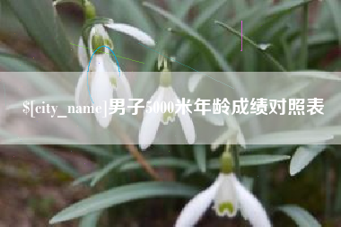 贺州男子5000米年龄成绩对照表