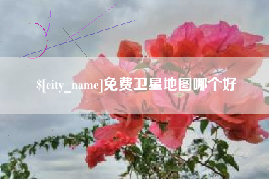 贺州免费卫星地图哪个好