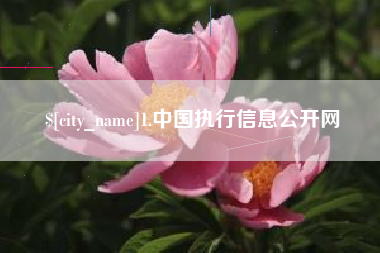 贺州1.中国执行信息公开网