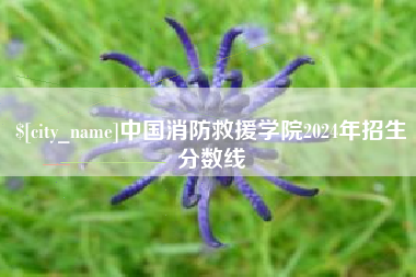 贺州中国消防救援学院2024年招生分数线