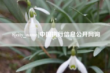 贺州中国执行信息公开网询