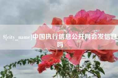 贺州中国执行信息公开网会发信息吗