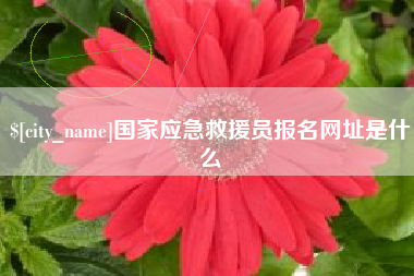 贺州国家应急救援员报名网址是什么