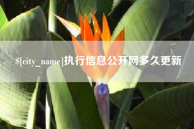 贺州执行信息公开网多久更新
