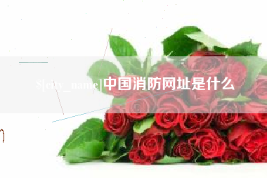 贺州中国消防网址是什么