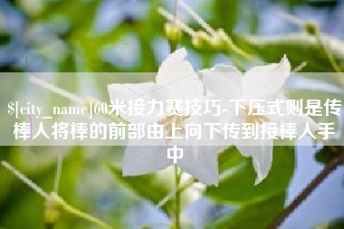 贺州60米接力赛技巧-下压式则是传棒人将棒的前部由上向下传到接棒人手中
