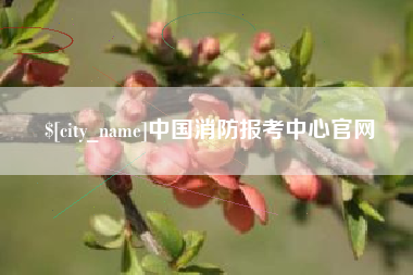 贺州中国消防报考中心官网