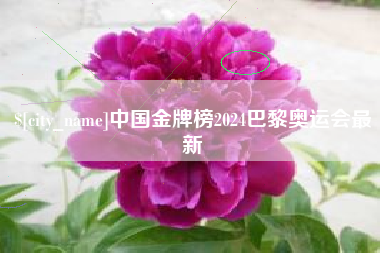 贺州中国金牌榜2024巴黎奥运会最新