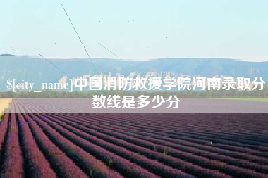 贺州中国消防救援学院河南录取分数线是多少分