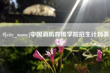 贺州中国消防救援学院招生计划表