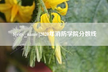 贺州2020年消防学院分数线
