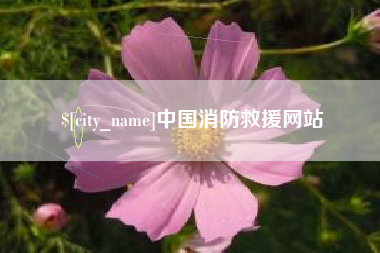 贺州中国消防救援网站