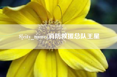 贺州消防救援总队王星