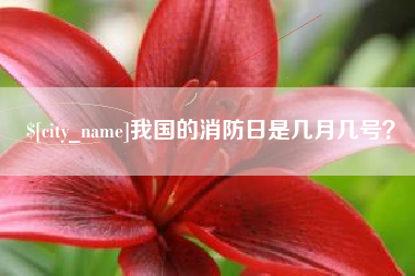 贺州我国的消防日是几月几号？