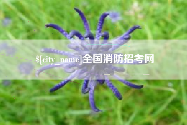 贺州全国消防招考网