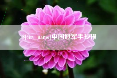 贺州中国冠军手抄报
