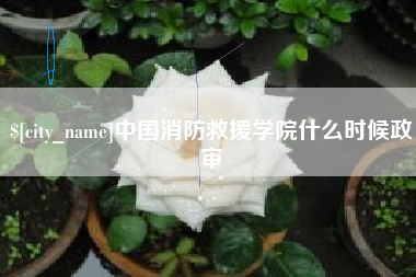 贺州中国消防救援学院什么时候政审