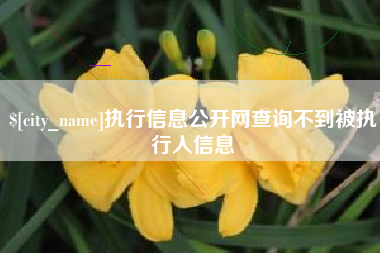 贺州执行信息公开网查询不到被执行人信息