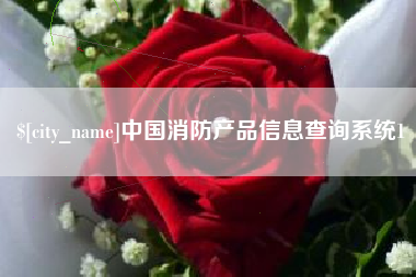 贺州中国消防产品信息查询系统1