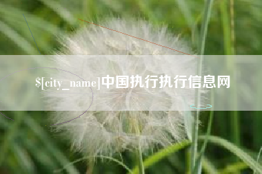 贺州中国执行执行信息网