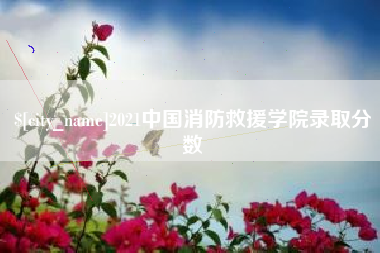 贺州2021中国消防救援学院录取分数