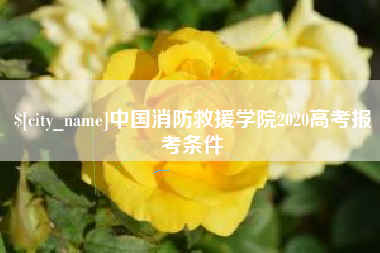 贺州中国消防救援学院2020高考报考条件