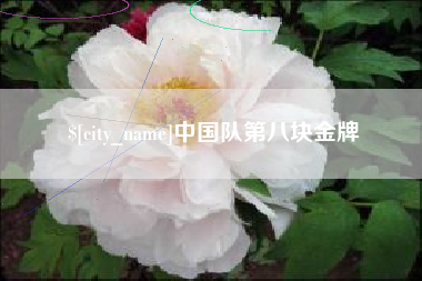 贺州中国队第八块金牌