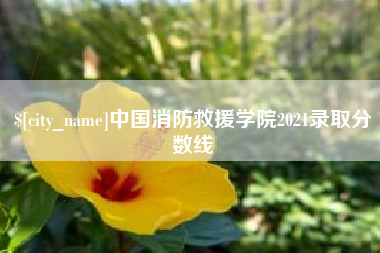 贺州中国消防救援学院2021录取分数线