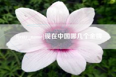 贺州现在中国哪几个金牌