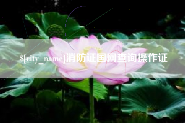 贺州消防证国网查询操作证
