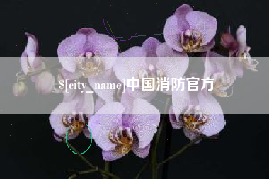 贺州中国消防官方