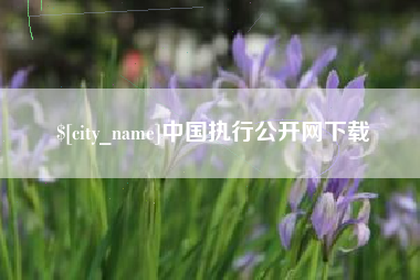 贺州中国执行公开网下载