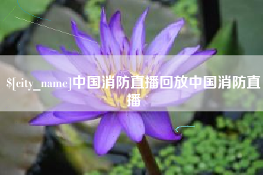 贺州中国消防直播回放中国消防直播