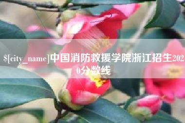 贺州中国消防救援学院浙江招生2020分数线