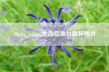 贺州地图指南针图标图片