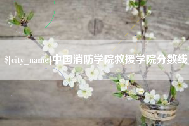 贺州中国消防学院救援学院分数线
