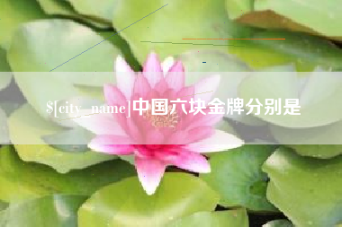 贺州中国六块金牌分别是