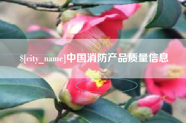 贺州中国消防产品质量信息