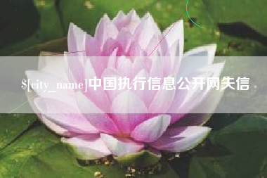 贺州中国执行信息公开网失信