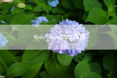 贺州2022九宫
