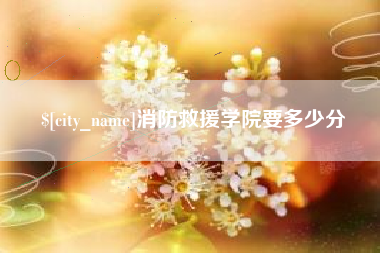 贺州消防救援学院要多少分