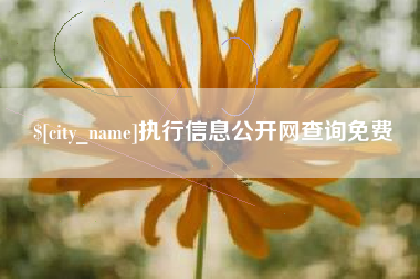 贺州执行信息公开网查询免费