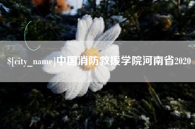 贺州中国消防救援学院河南省2020